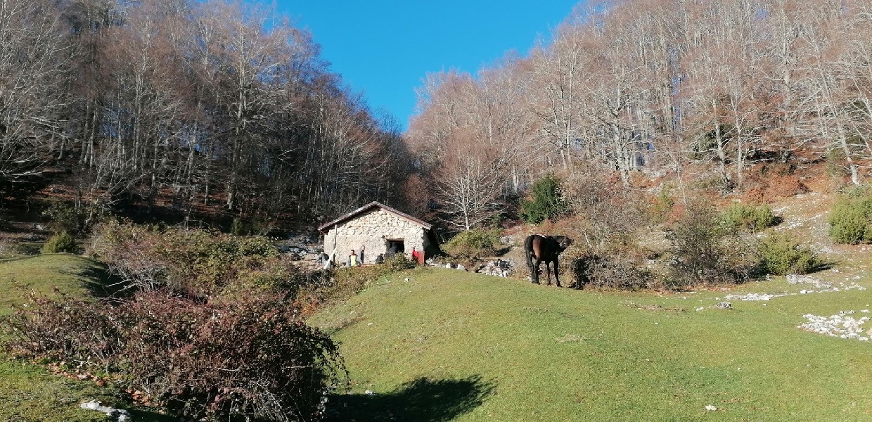 https://www.borghiebike.it/immagini_pagine/2/pagina-1-2-6-600.jpg